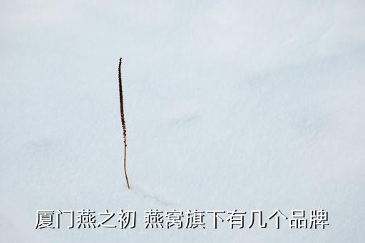 廈門燕之初 燕窩旗下有幾個品牌
