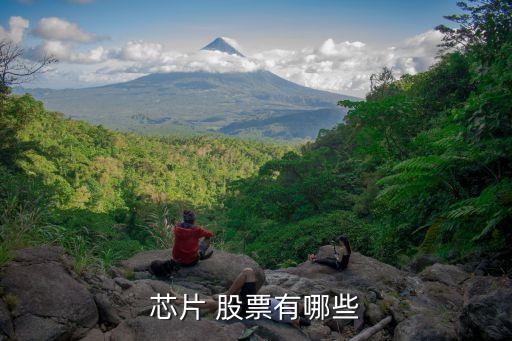 半導(dǎo)體類(lèi)股票
