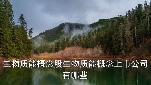 生物質能概念股生物質能概念上市公司有哪些