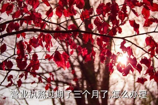 營(yíng)業(yè)執(zhí)照過期了三個(gè)月了,怎么辦理