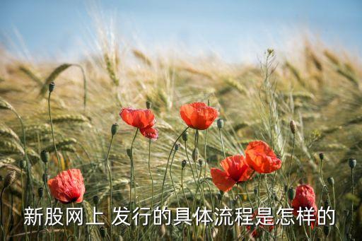 新股網上 發(fā)行的具體流程是怎樣的