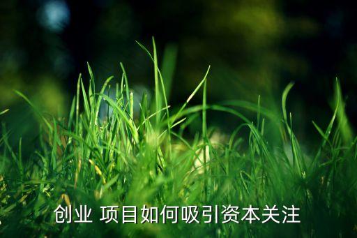 創(chuàng)業(yè) 項目如何吸引資本關注