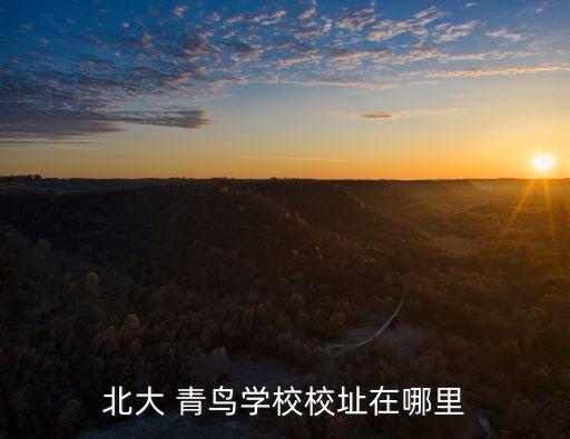 浙江青鳥(niǎo)控股集團(tuán)顧亞維