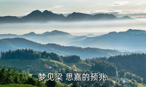思嘉集團(tuán)財務(wù),福建思嘉集團(tuán)