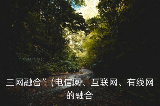 三網融合”(電信網、互聯(lián)網、有線網的融合