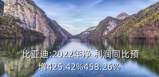  比亞迪:2022年凈 利潤同比預增425.42%458.26%