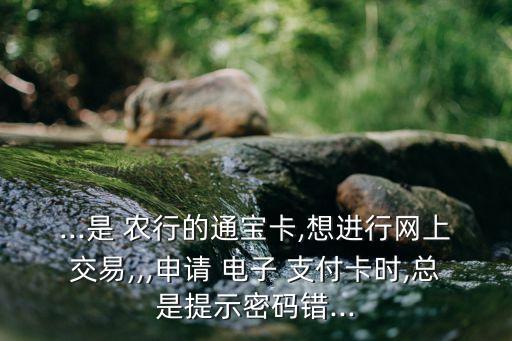 ...是 農行的通寶卡,想進行網上交易,,,申請 電子 支付卡時,總是提示密碼錯...