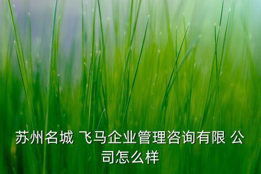 飛馬公司法人代表