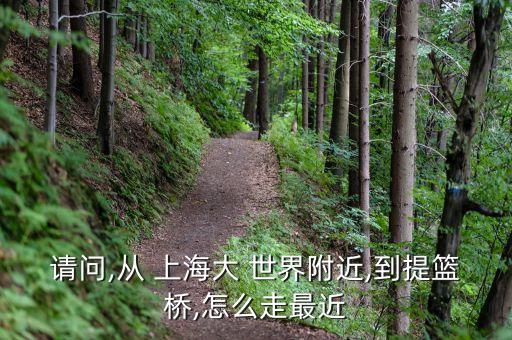 請(qǐng)問(wèn),從 上海大 世界附近,到提籃橋,怎么走最近