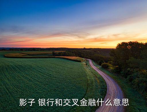 影子銀行流動性風(fēng)險(xiǎn),伊利諾銀行流動性風(fēng)險(xiǎn)原因
