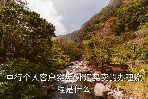 中行個(gè)人客戶實(shí)盤(pán) 外匯買(mǎi)賣(mài)的辦理流程是什么