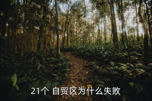 21個 自貿(mào)區(qū)為什么失敗