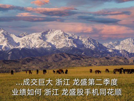 ...成交巨大 浙江 龍盛第二季度業(yè)績如何 浙江 龍盛股手機同花順