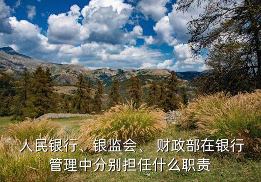  人民銀行、銀監(jiān)會(huì)、 財(cái)政部在銀行管理中分別擔(dān)任什么職責(zé)