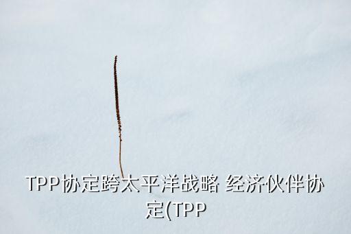 TPP協定跨太平洋戰(zhàn)略 經濟伙伴協定(TPP