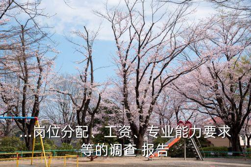 ...崗位分配、工資、專業(yè)能力要求等的調(diào)查 報(bào)告