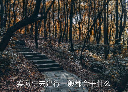 中國(guó)建設(shè)銀行調(diào)研報(bào)告