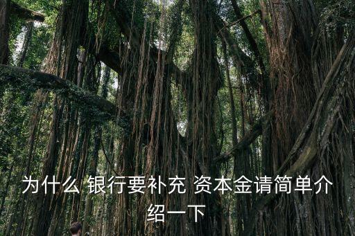 銀行資本金要求,銀行對項目資本金要求