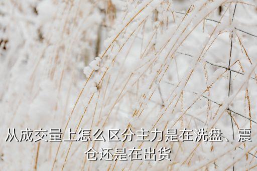 從成交量上怎么區(qū)分主力是在洗盤、震倉還是在出貨