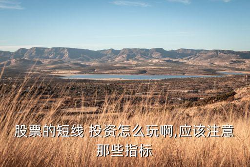 股票的短線 投資怎么玩啊,應(yīng)該注意那些指標