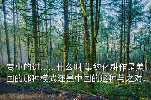 專業(yè)的進(jìn)……什么叫 集約化耕作是美國的那種模式還是中國的這種與之對(duì)...