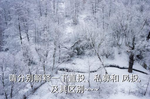 風(fēng)投基金前一個階段