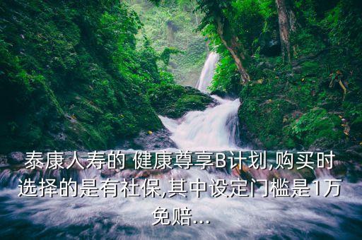 泰康人壽的 健康尊享B計劃,購買時選擇的是有社保,其中設定門檻是1萬免賠...
