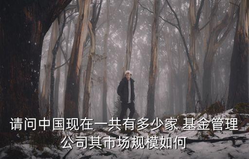 請(qǐng)問中國(guó)現(xiàn)在一共有多少家 基金管理公司其市場(chǎng)規(guī)模如何