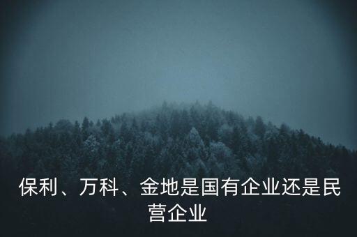  保利、萬科、金地是國有企業(yè)還是民營企業(yè)