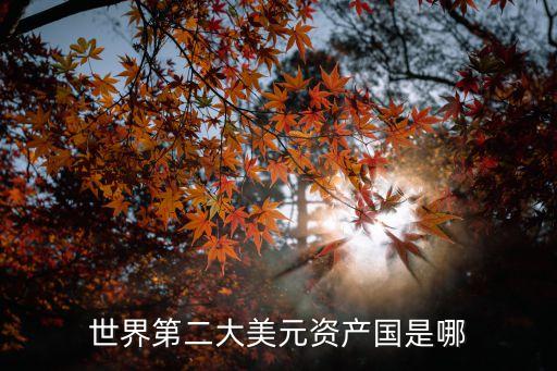 世界第二大美元資產(chǎn)國是哪