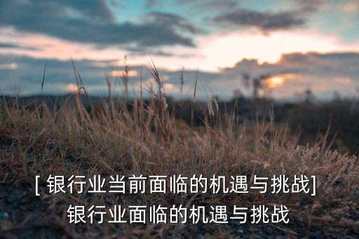 [ 銀行業(yè)當(dāng)前面臨的機遇與挑戰(zhàn)] 銀行業(yè)面臨的機遇與挑戰(zhàn)