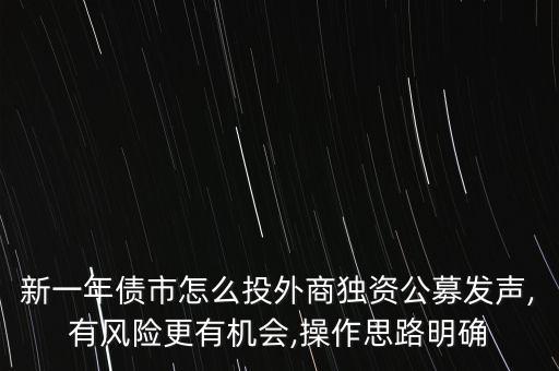 新一年債市怎么投外商獨資公募發(fā)聲,有風險更有機會,操作思路明確