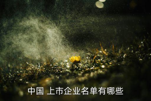 中國 上市企業(yè)名單有哪些