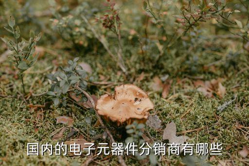 國內的電子元器件分銷商有哪些