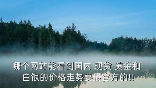 哪個(gè)網(wǎng)站能看到國內(nèi) 現(xiàn)貨 黃金和 白銀的價(jià)格走勢要最官方的!!