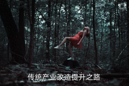 中國(guó)傳統(tǒng)產(chǎn)業(yè)改造提升之路