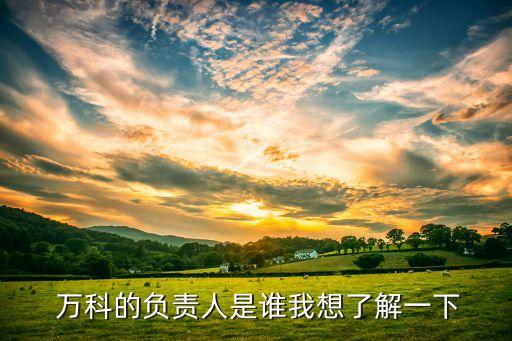  萬科的負責(zé)人是誰我想了解一下