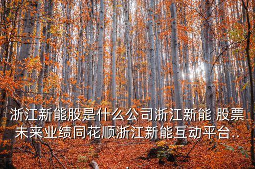 浙江新能股是什么公司浙江新能 股票未來(lái)業(yè)績(jī)同花順浙江新能互動(dòng)平臺(tái)...