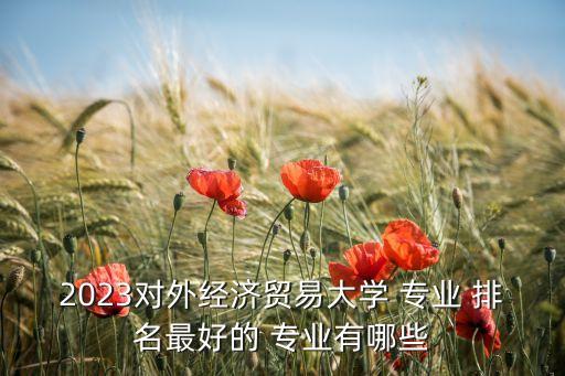 2023對(duì)外經(jīng)濟(jì)貿(mào)易大學(xué) 專(zhuān)業(yè) 排名最好的 專(zhuān)業(yè)有哪些