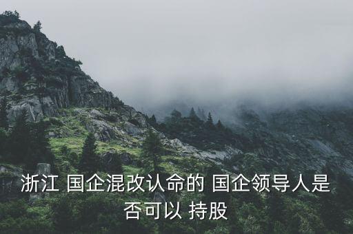浙江 國企混改認命的 國企領導人是否可以 持股