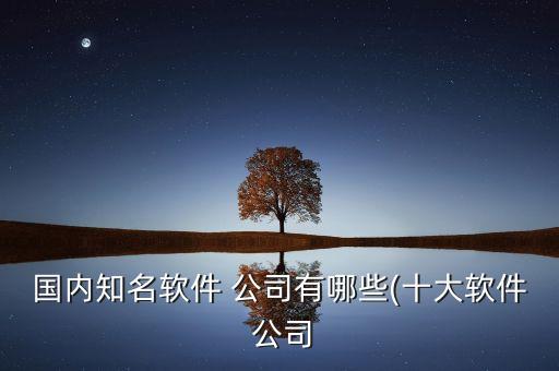 國(guó)內(nèi)知名軟件 公司有哪些(十大軟件 公司