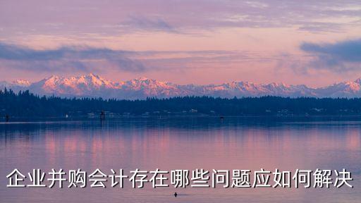 海爾集團存在的財務風險