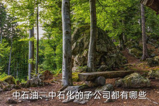中石油、中石化的子公司都有哪些