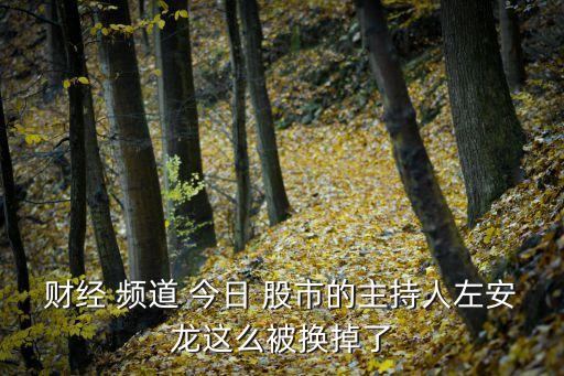 財經 頻道 今日 股市的主持人左安龍這么被換掉了