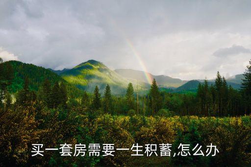 買(mǎi)一套房需要一生積蓄,怎么辦