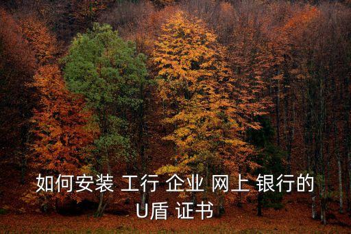 如何安裝 工行 企業(yè) 網上 銀行的U盾 證書