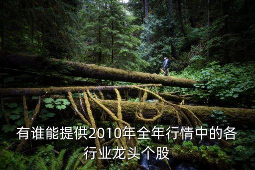 有誰(shuí)能提供2010年全年行情中的各行業(yè)龍頭個(gè)股