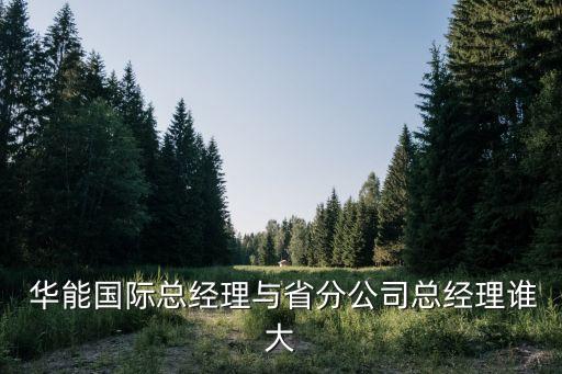  華能國(guó)際總經(jīng)理與省分公司總經(jīng)理誰大
