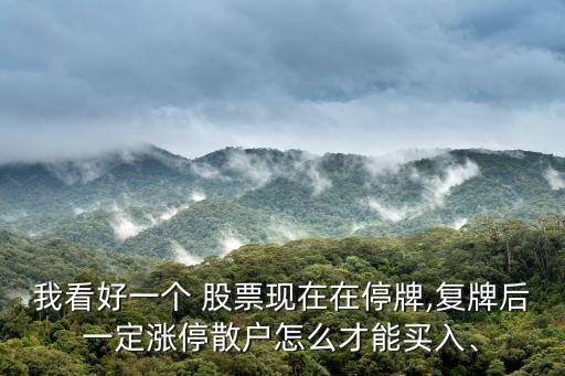 我看好一個 股票現(xiàn)在在停牌,復(fù)牌后一定漲停散戶怎么才能買入、