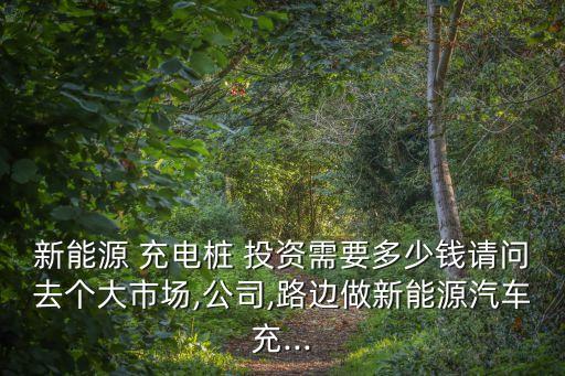 新能源 充電樁 投資需要多少錢(qián)請(qǐng)問(wèn)去個(gè)大市場(chǎng),公司,路邊做新能源汽車(chē)充...